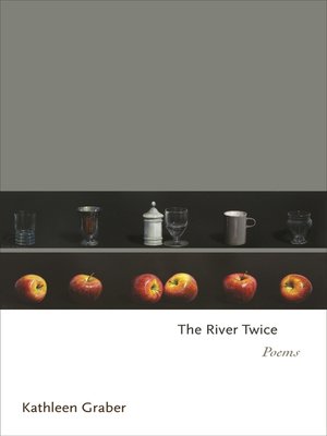 cover image of The River Twice
